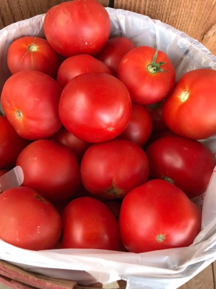 Fresh, ripe red tomatoes piled in a basket, showcasing their vibrant color and smooth texture, ideal for salads, sauces, and cooking.
