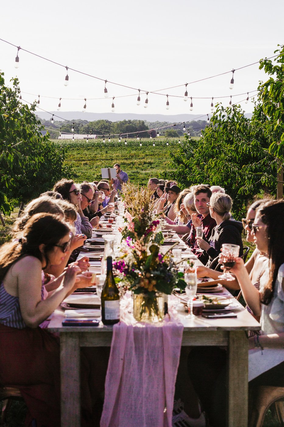 Outdoor long dining table set in a vineyard, with guests enjoying a meal and drinks under string lights. A floral centerpiece adds decoration, while scenic green hills are visible in the background, creating a festive atmosphere for a gathering or event.