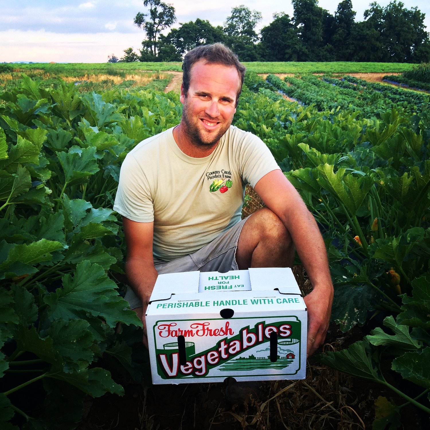 Countrycreek+Produce+Farm++PA+-+25CA6F3A-0768-4D01-B91F-2C0974245C0A Farmer kneeling in a lush vegetable field, holding a box labeled "Farm Fresh Vegetables," showcasing sustainable agriculture and fresh produce.