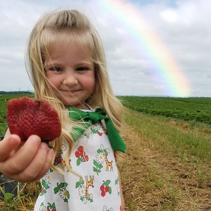 Young girl in a floral dress with a green scarf, holding a fresh strawberry in a strawberry field, with a rainbow visible in the background.