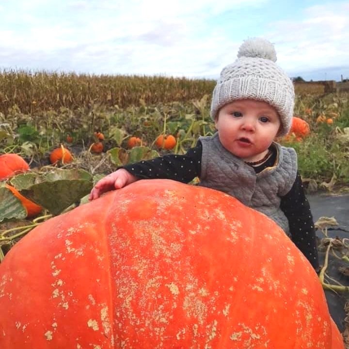Country+creek+produce+farm++Pa+-+DCCA9709-8018-4B1B-9007-154FEEFE3534 Baby sitting next to a large pumpkin in a pumpkin patch, wearing a gray knitted hat and a cozy vest, surrounded by green leaves and smaller pumpkins in the background.