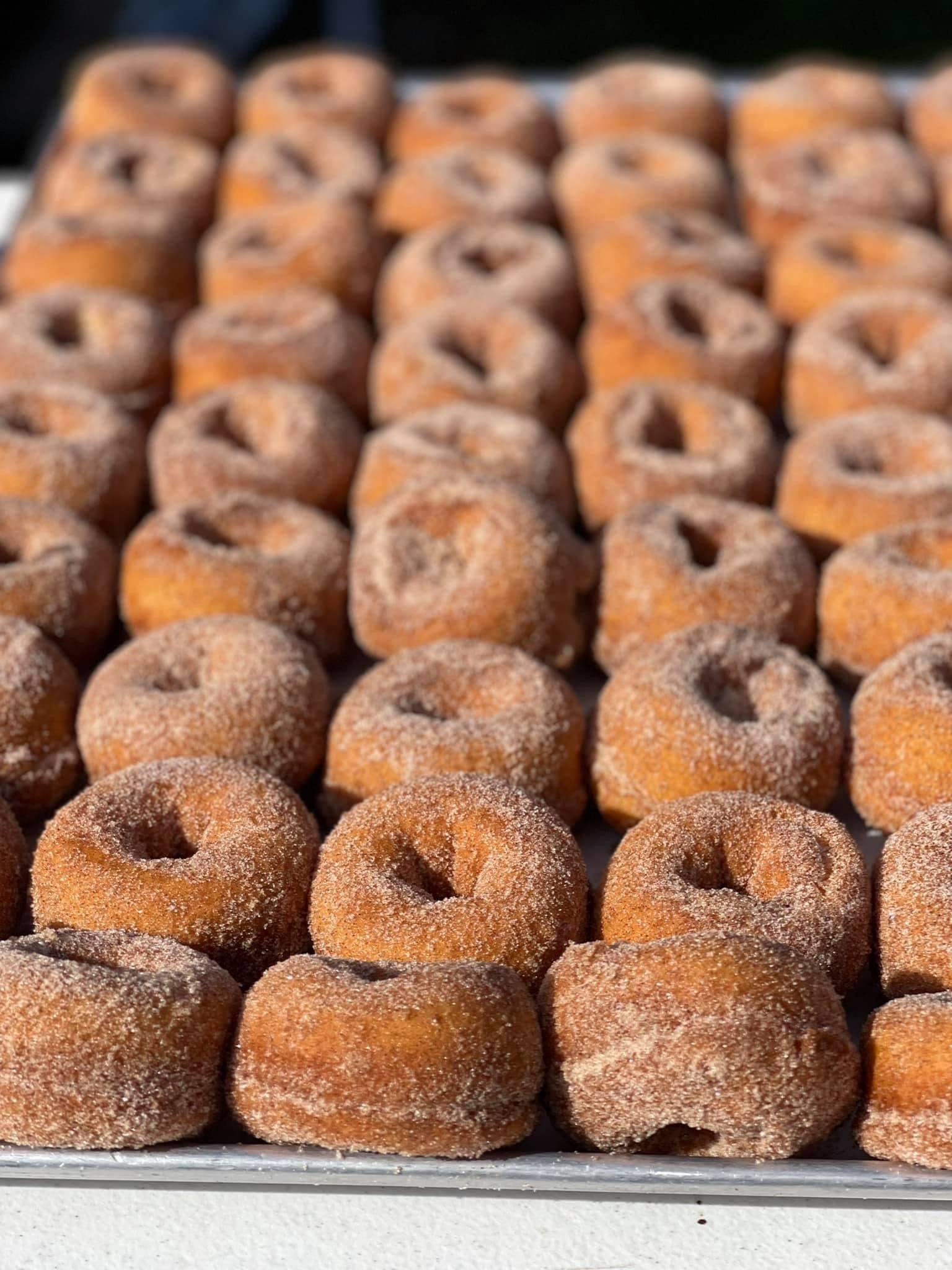 IMG_1820 A tray filled with freshly made cinnamon sugar donuts, arranged in neat rows, showcasing their golden-brown color and soft texture. Ideal for dessert lovers and food enthusiasts.
