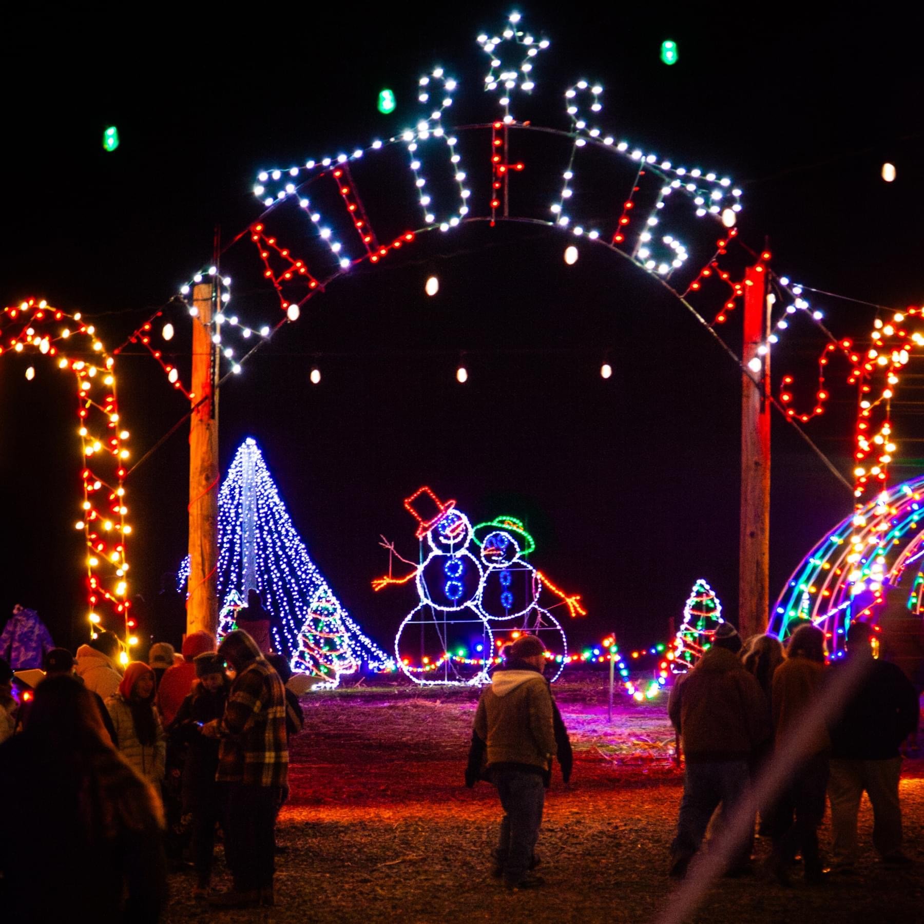 IMG_9742 Colorful holiday lights illuminate a festive scene featuring a lighted arch reading "Festival of Lights," with cheerful snowman decorations and Christmas trees, as families gather to enjoy the holiday atmosphere at night.