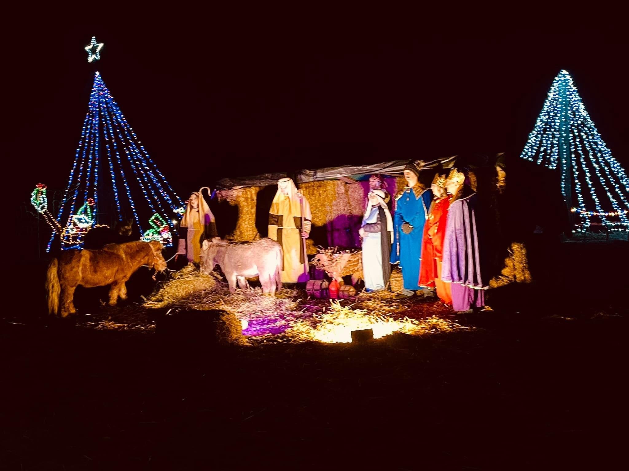 IMG_9867 Nativity scene featuring life-sized figures of Mary, Joseph, and the Three Wise Men, surrounded by animals, including a pony and a donkey, set against a backdrop of festive lights and a starry night sky. The scene is illuminated by colorful lights, enhancing the Christmas spirit.