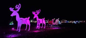 Light+Festival+Display+PA Colorful illuminated reindeer and a sleigh in a festive holiday display at night, showcasing vibrant pink and white lights against a dark sky.