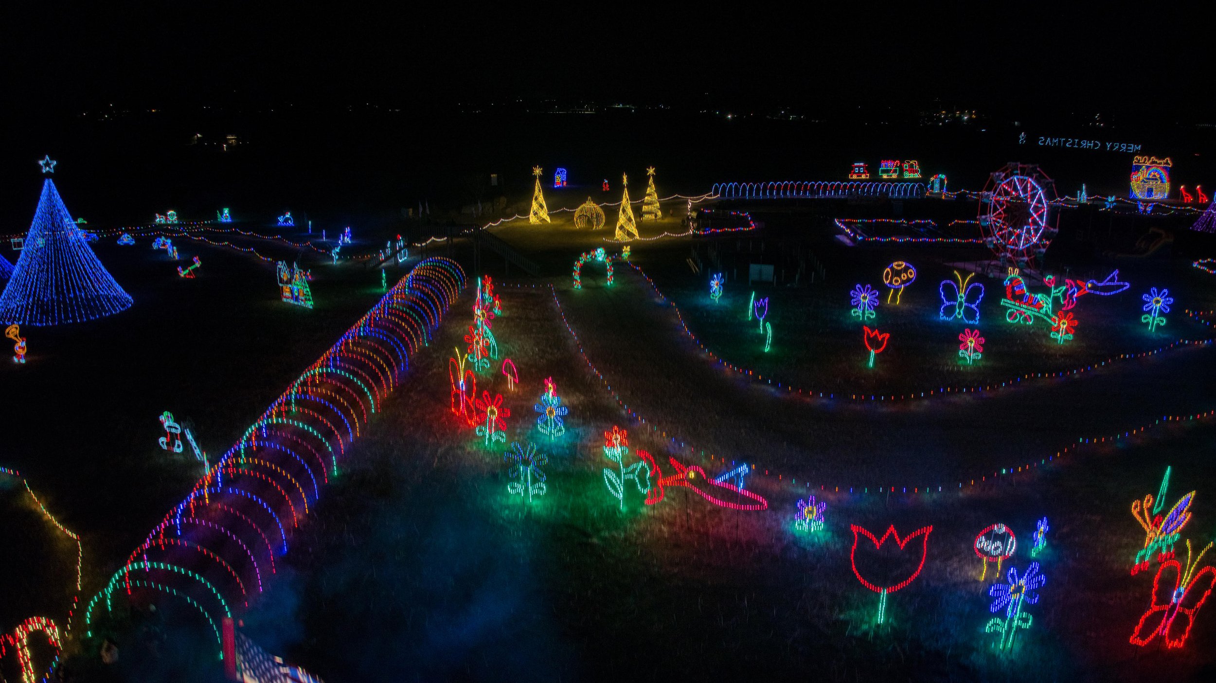 Trail+of+Lights+2024+Garden Colorful holiday light display at night featuring illuminated trees, flowers, and festive decorations in a park setting. The scene includes a large blue Christmas tree, a Ferris wheel, and playful light designs, creating a vibrant festive atmosphere.