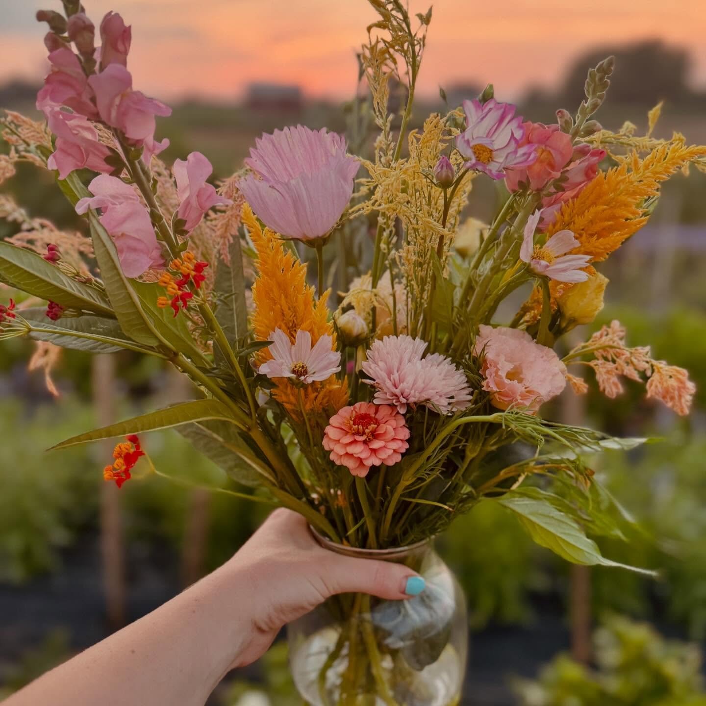 florals A hand holding a vibrant bouquet of mixed flowers, including pink snapdragons, yellow and orange blooms, and delicate greenery, set against a sunset backdrop in a garden.