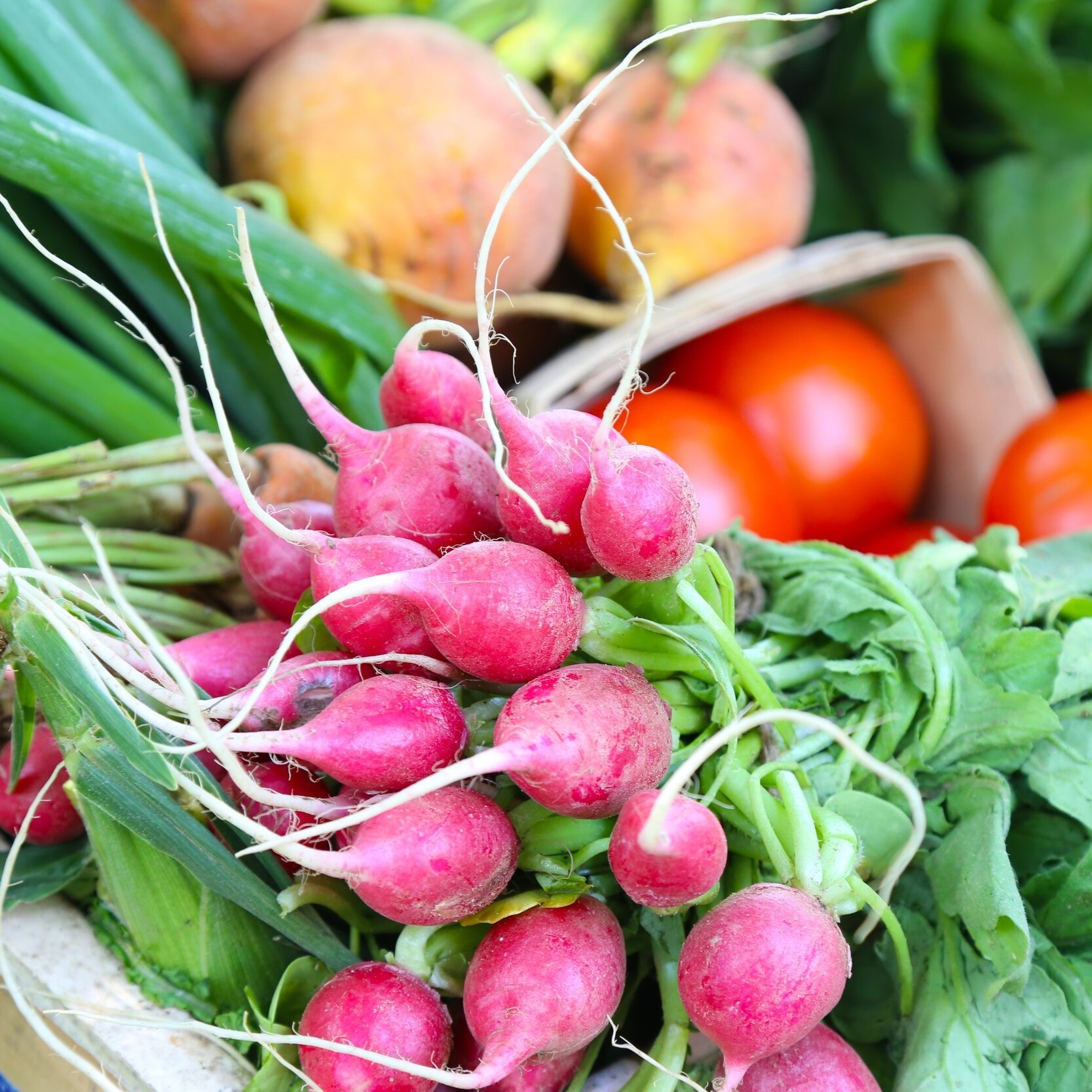 Fresh bunch of vibrant pink radishes with green tops, surrounded by a variety of other vegetables including tomatoes, potatoes, and leafy greens, showcasing a colorful and healthy produce selection.