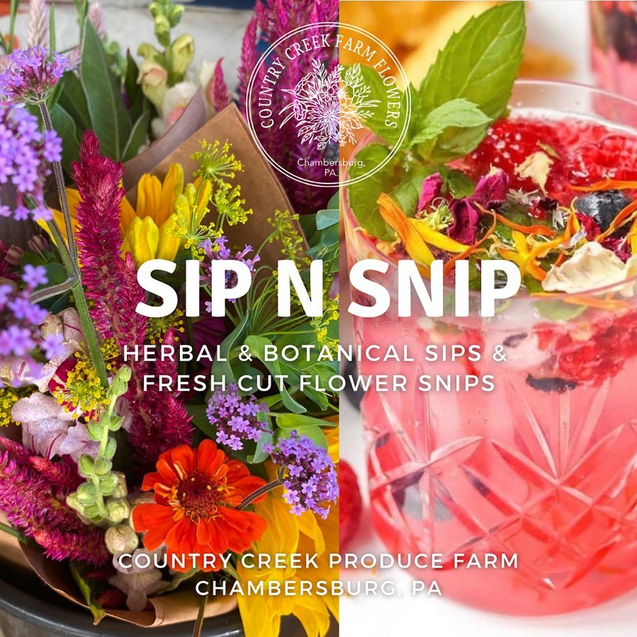 Colorful bouquet of fresh cut flowers alongside a refreshing herbal drink at Country Creek Farm Flowers in Chambersburg, PA. The image promotes the "Sip N Snip" event, featuring herbal and botanical sips and flower snips.