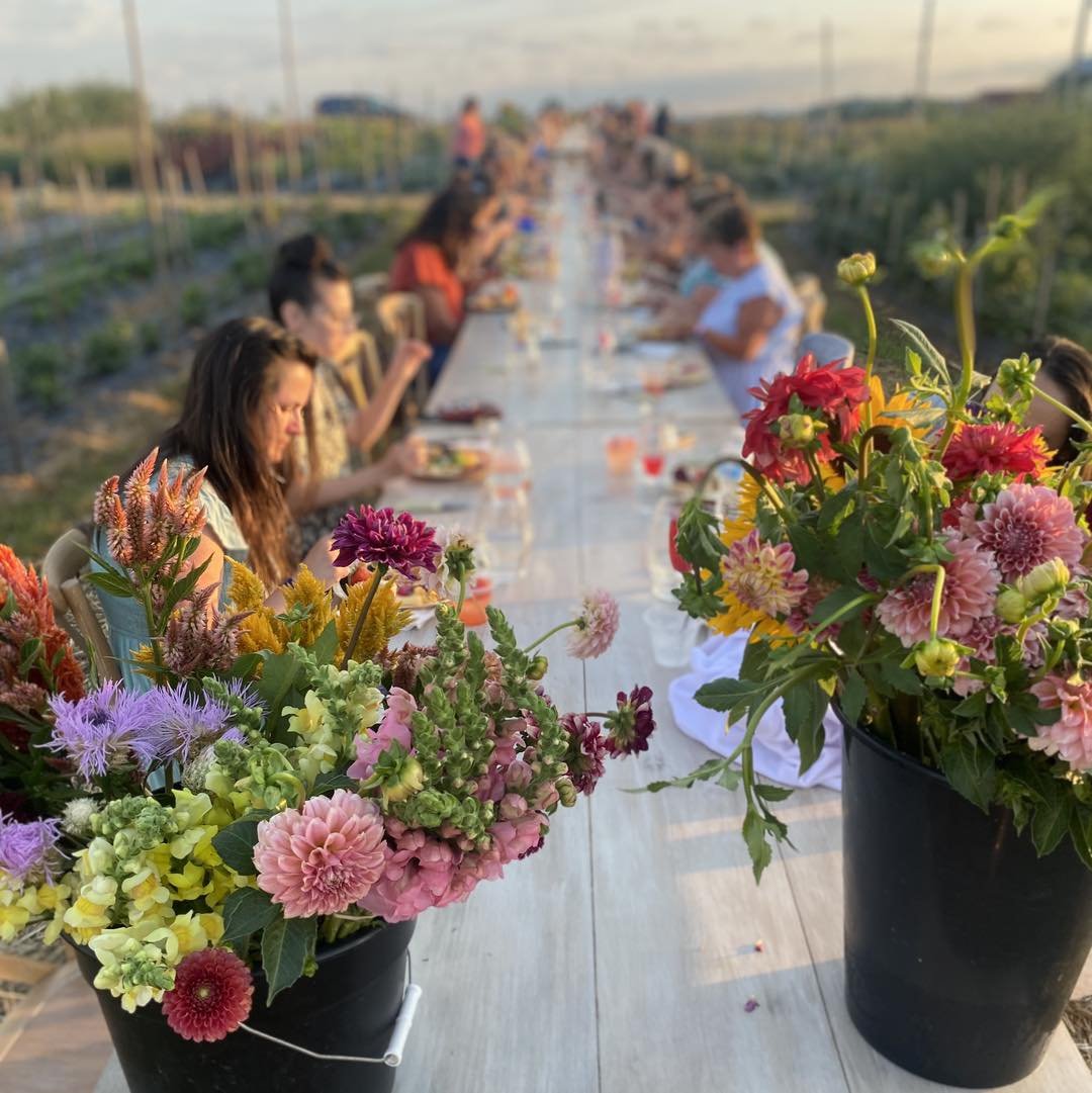 A long outdoor dining table set with colorful flower arrangements, where guests enjoy a meal in a scenic setting during golden hour.