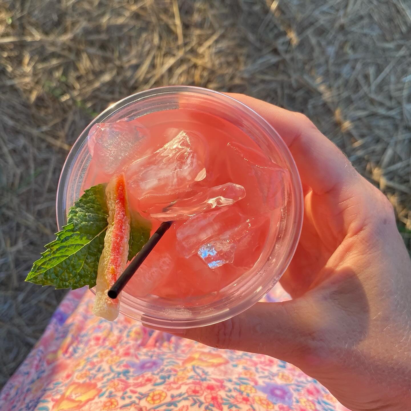 Refreshing pink cocktail with ice, garnished with mint leaves and a slice of fruit, held in a hand against a natural background. Perfect for summer gatherings or outdoor events.